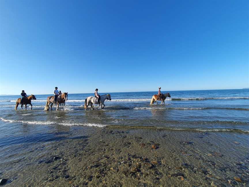 Hack'n Stay Golden Bay, Beach Horse Riding, Camping, Accommodation, Takaka, New Zealand