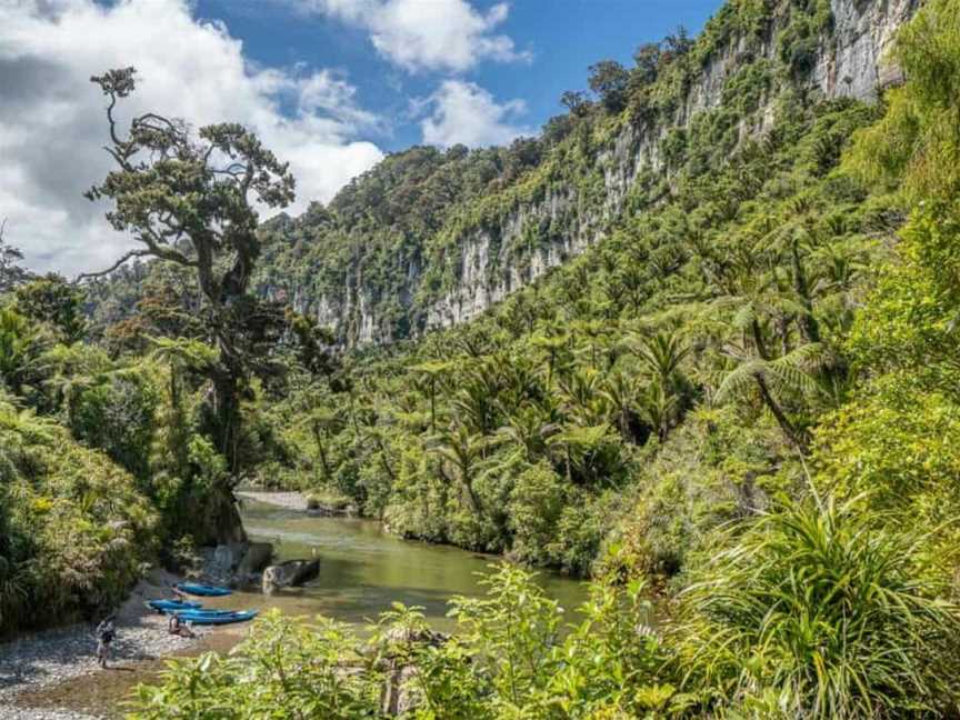 Pororari River Track, Greymouth, New Zealand