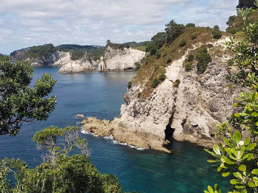 Cathedral Cove Viewing Deck, Hahei, New Zealand