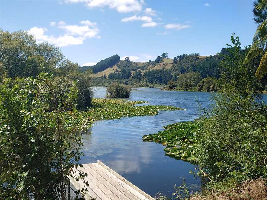 Dunham's Point Reserve, Kinleith, New Zealand