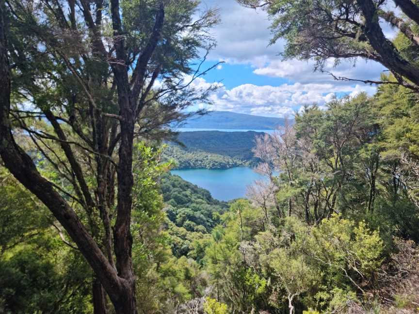 Tarawera Trail, Rotorua, New Zealand