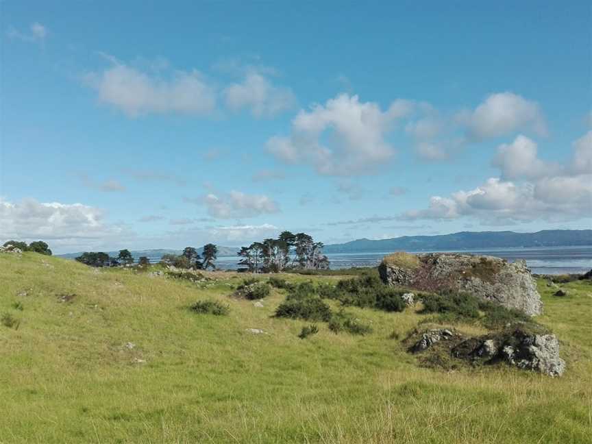 Otuataua Stonefields Reserve, Mangere, New Zealand