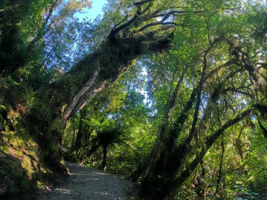 Start Alex Knob Trail, Hokitika, New Zealand