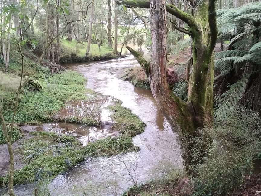 Morrinsville River Walk, Morrinsville, New Zealand