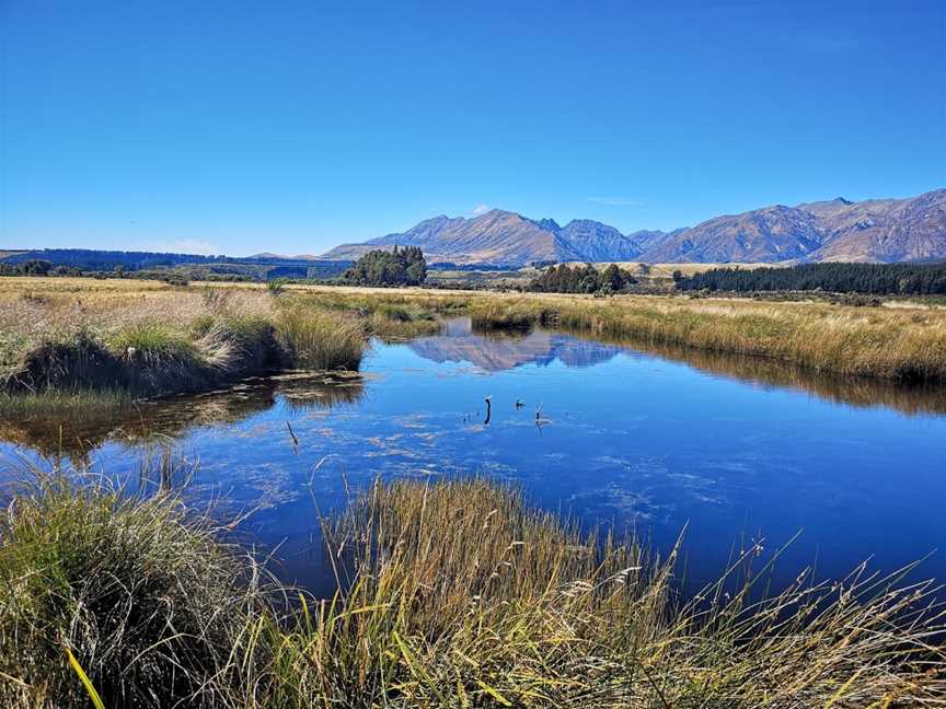 Rakatu Wetlands, Fiordland, New Zealand