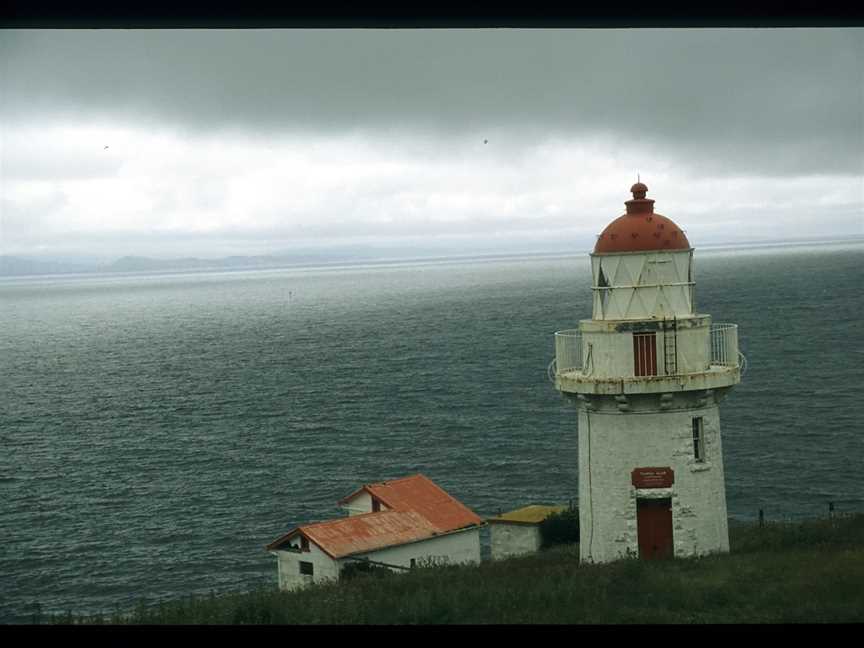 Taiaroa Head, Harington Point, New Zealand