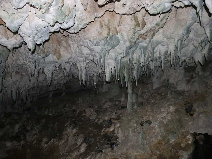 Fenian Caves Loop, Karamea, New Zealand