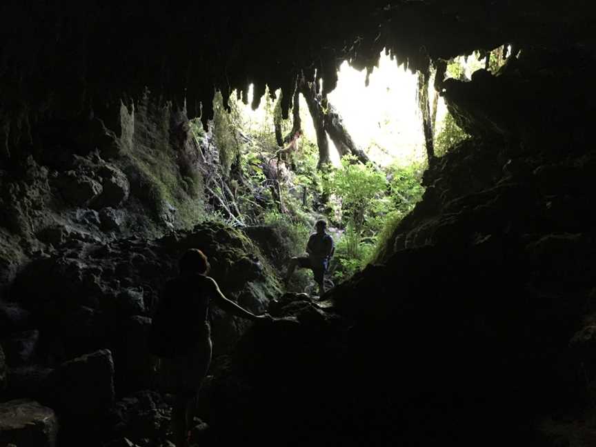 Fenian Caves Loop, Karamea, New Zealand