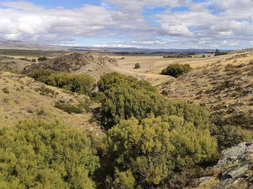 Otago Central Rail Trail Poolburn Viaduct, Wanaka, New Zealand