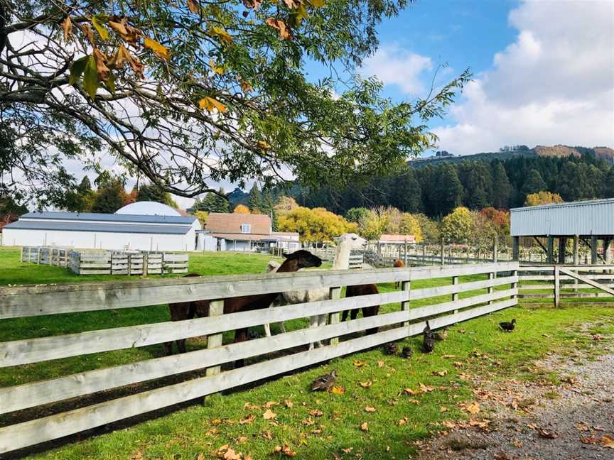Rotorua Heritage Farm, Fairy Springs, New Zealand