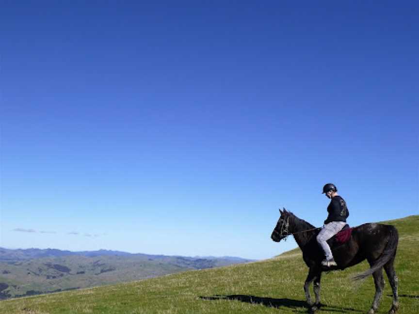 Gladstone horse treks, Masterton, New Zealand