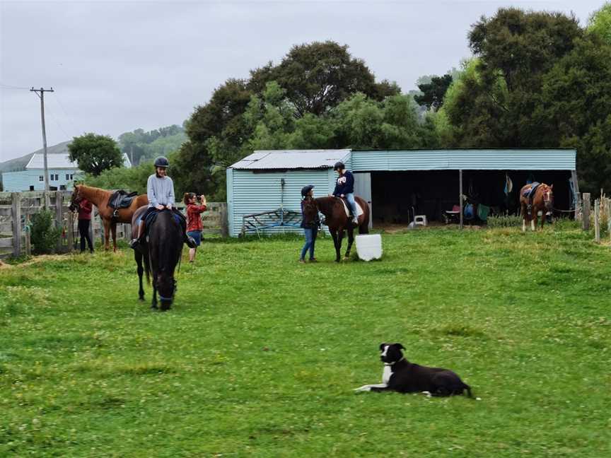 Gladstone horse treks, Masterton, New Zealand