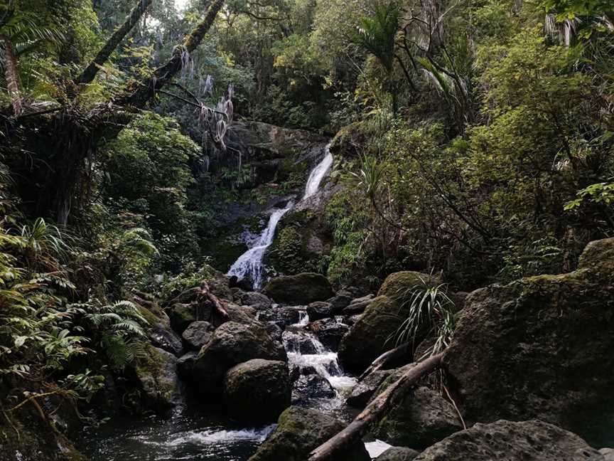 Waiotemarama Falls, Waimamaku, New Zealand