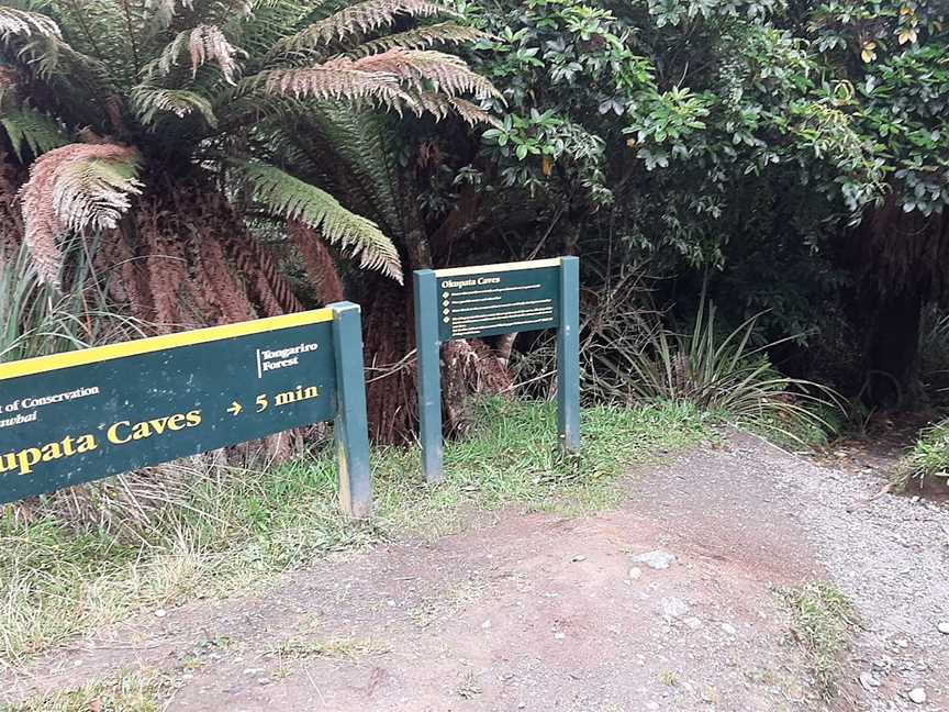 Okupata Caves, Ohakea, New Zealand
