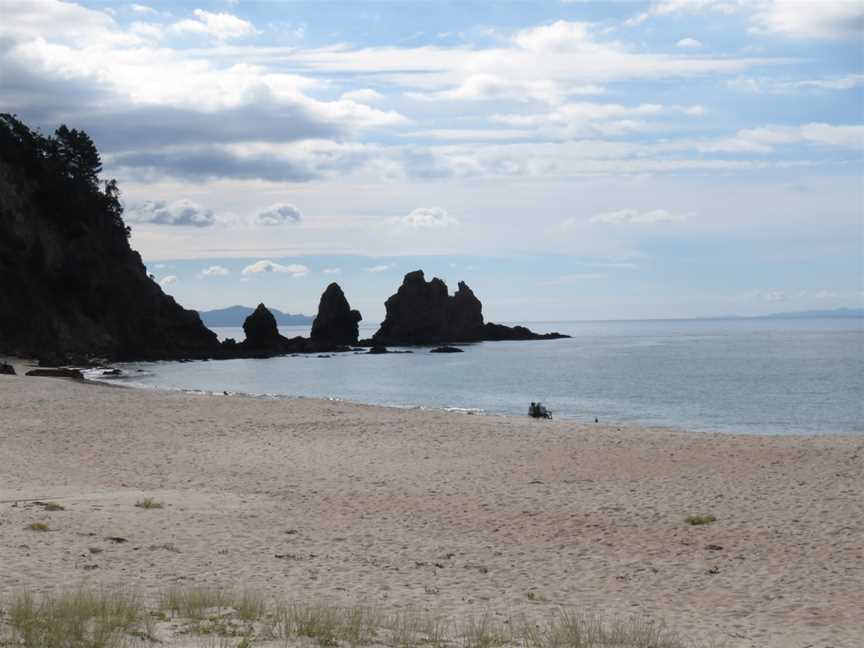 Stick in the sand, Mercury Bay, New Zealand