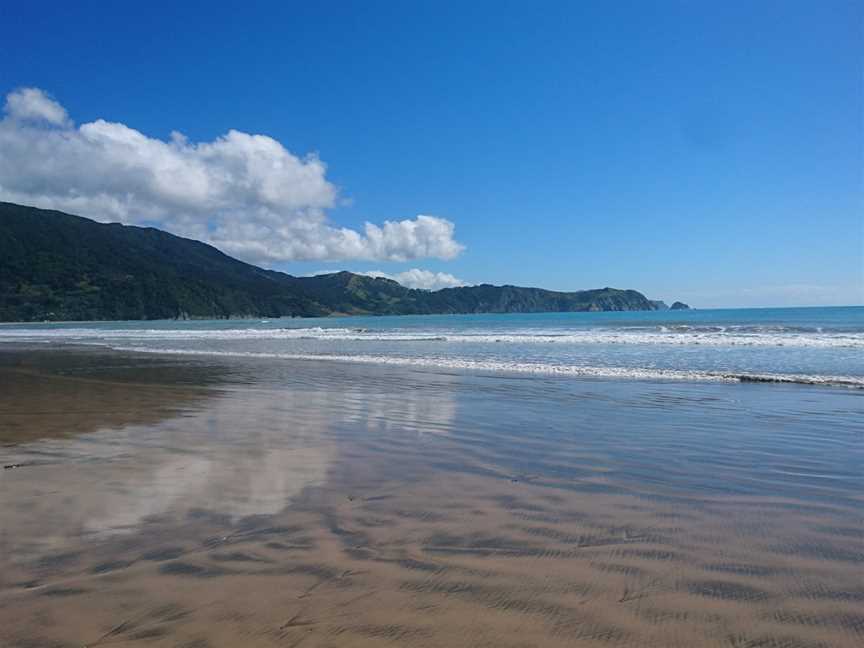 Place Of Cook's Landing In New Zealand, Gisborne, New Zealand