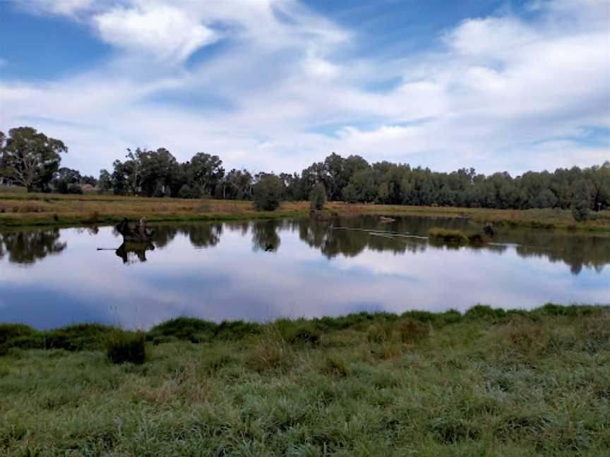 Marrambidya Wetland, Wagga Wagga, NSW