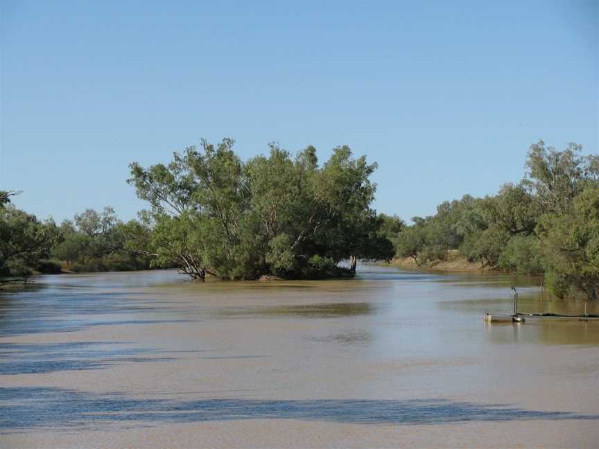Thomson River, Jundah, QLD