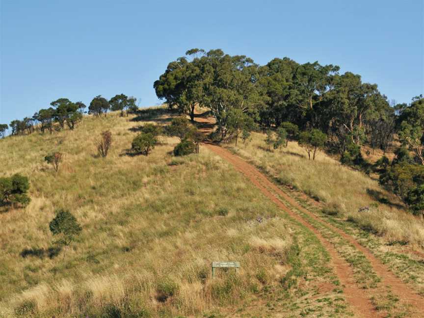 Black Hill Conservation Park, Adelaide, SA