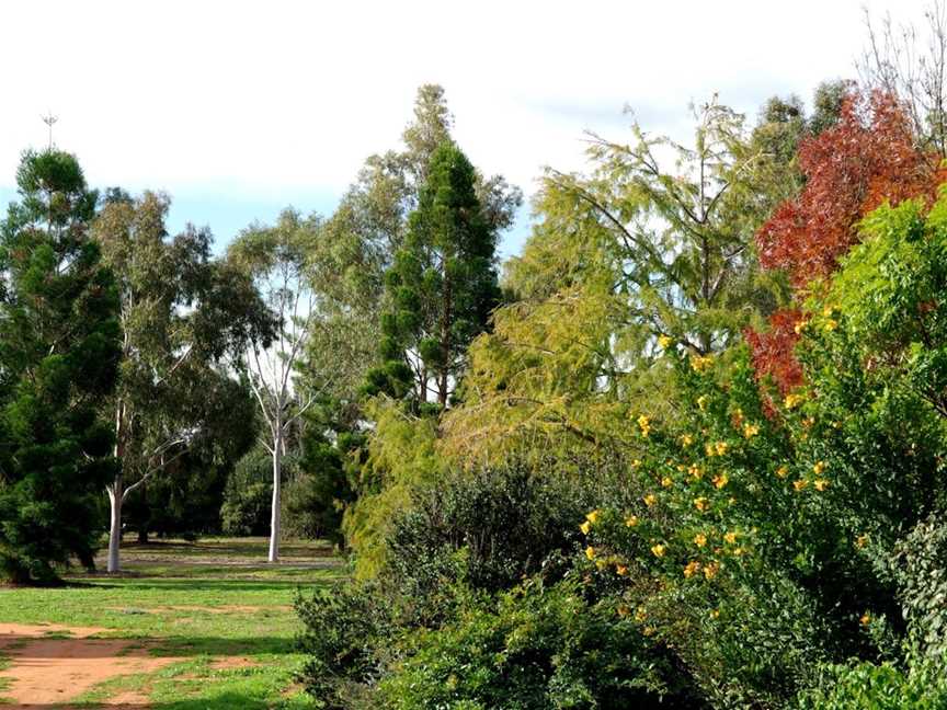 Australian Inland Botanic Gardens, Buronga, NSW