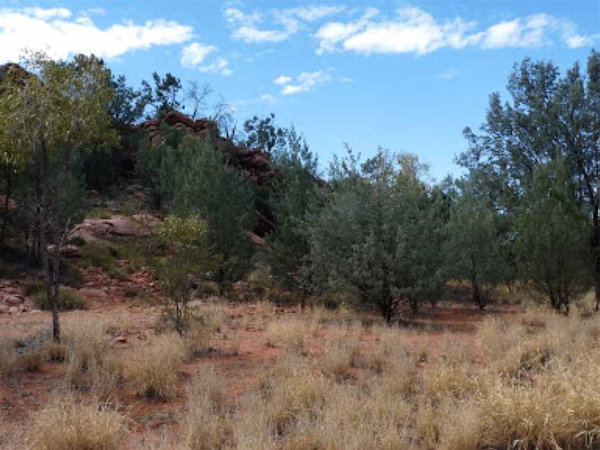 Native Gap Conservation Reserve, Alice Springs, NT