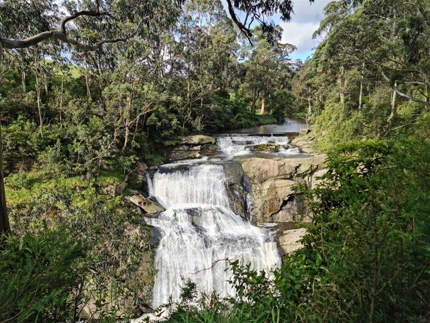 Agnes Falls Scenic Reserve, Hazel Park, VIC