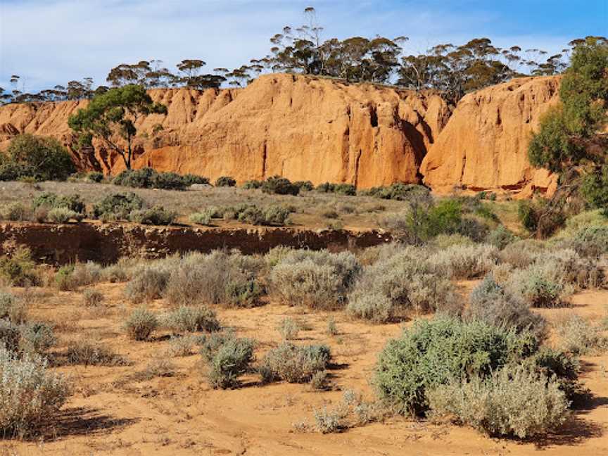 Red Banks Conservation Park, Burra, SA