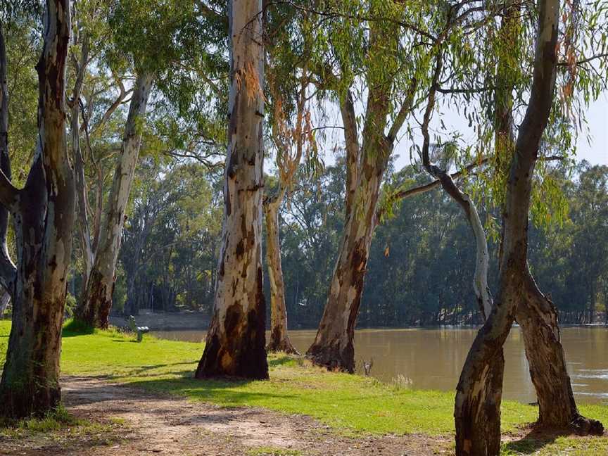 Barham River Walk, Barham, NSW