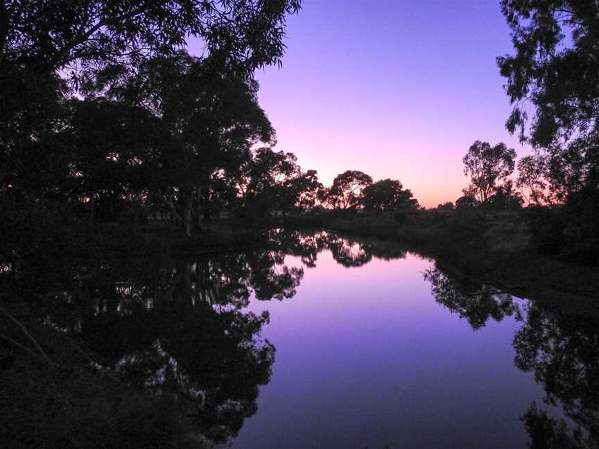 Wetlands of Wyalong, Wyalong, NSW