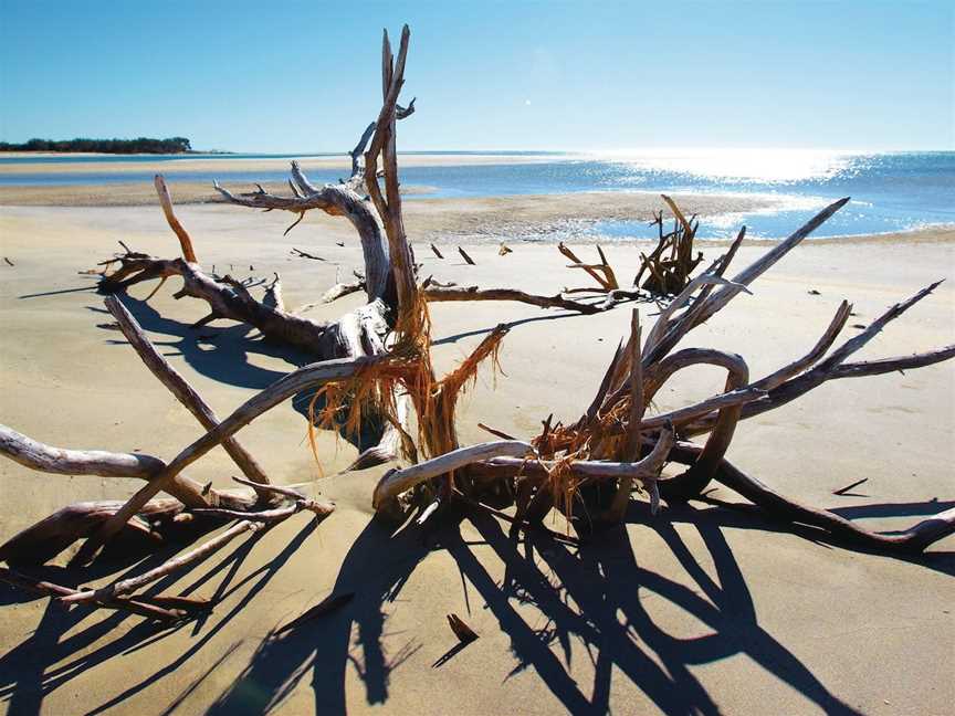 Woodgate Beach Park and Playground, Woodgate, QLD