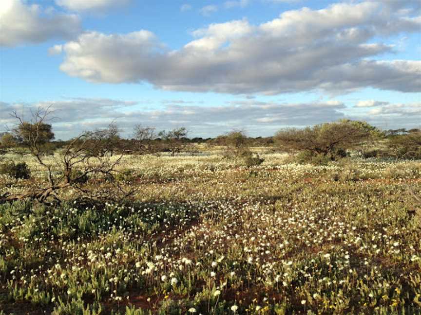 Living in the Rangelands Trail, Hawker, SA