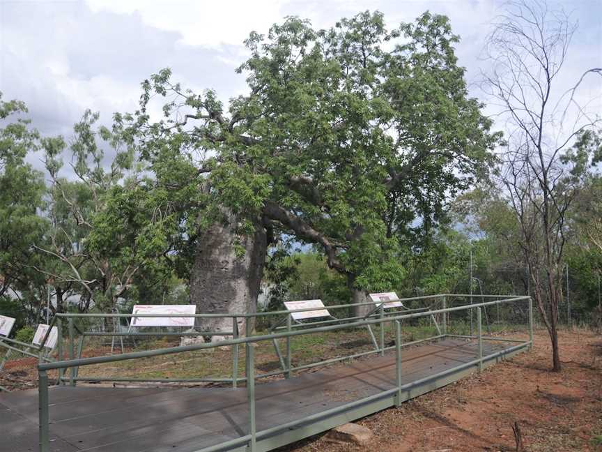 Gregory’s Tree, Timber Creek, Gregory, NT