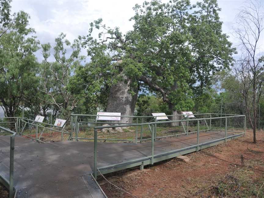 Gregory’s Tree, Timber Creek, Gregory, NT