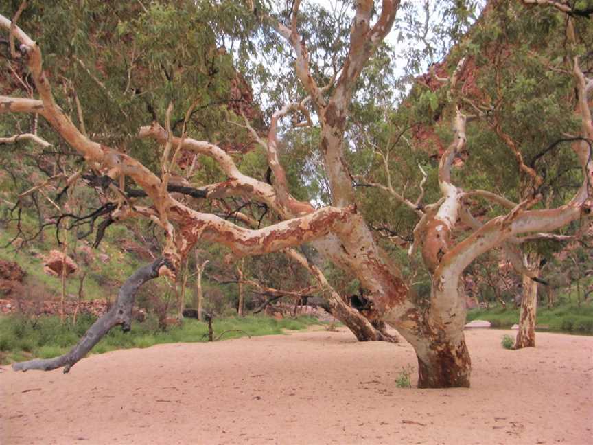 Simpsons Gap, Alice Springs, NT