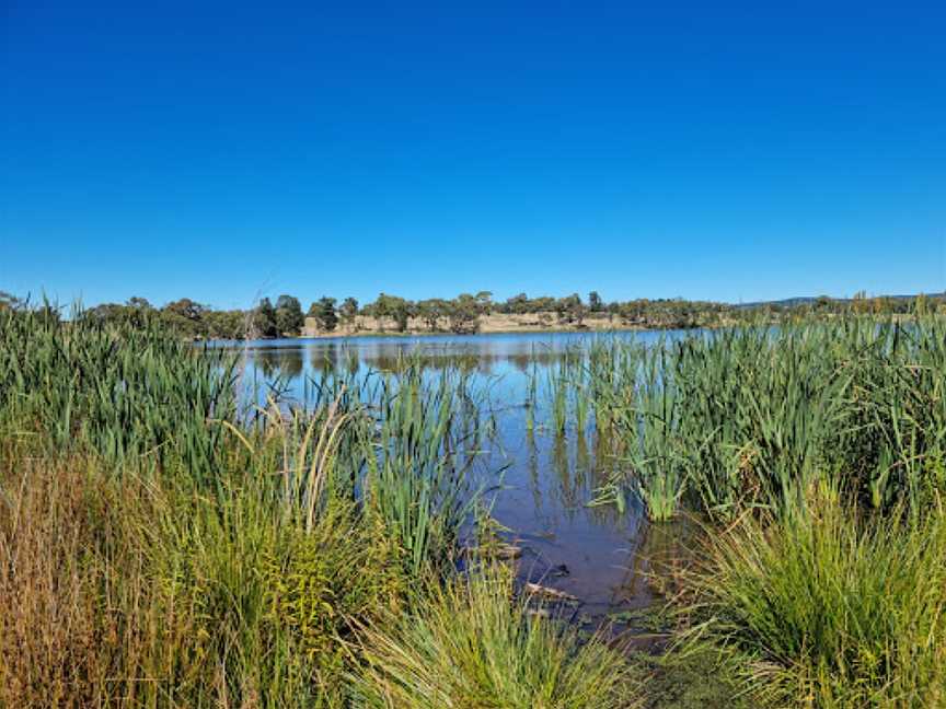 Gosling Creek Reserve, Orange, NSW