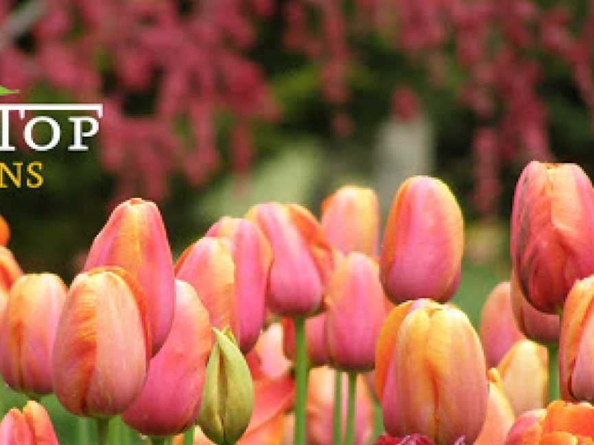 Tulip Top Gardens, Sutton, NSW