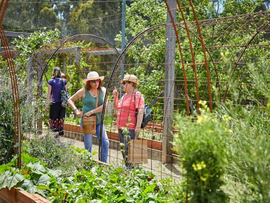 Edible Forest Yarra Valley, Dixons Creek, VIC