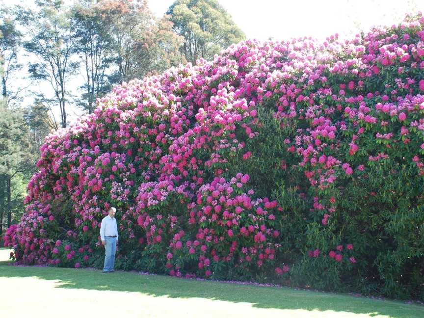 Lalla Flower Farm, Lalla, TAS