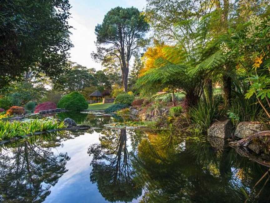Windyridge Garden Mount Wilson, Mount Wilson, NSW