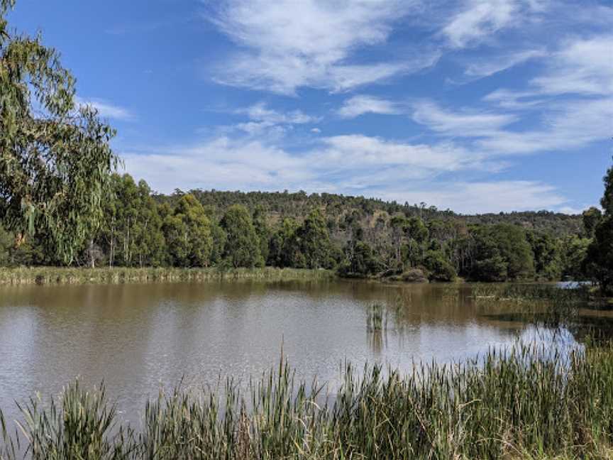 Birdsland Reserve, Belgrave Heights, VIC