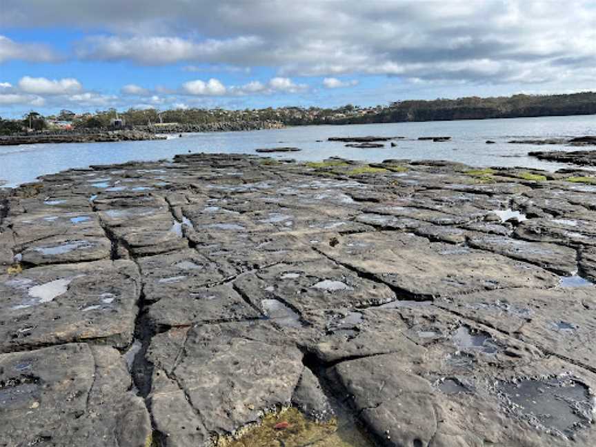 Gondwana Coast Fossil Walk, Ulladulla, NSW