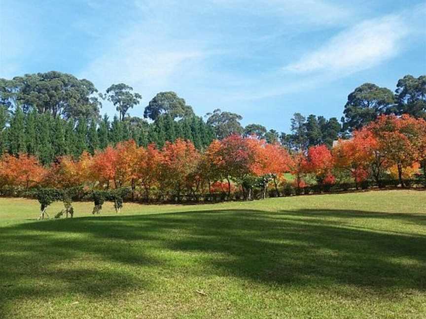 Wildwood Garden, Bilpin, NSW