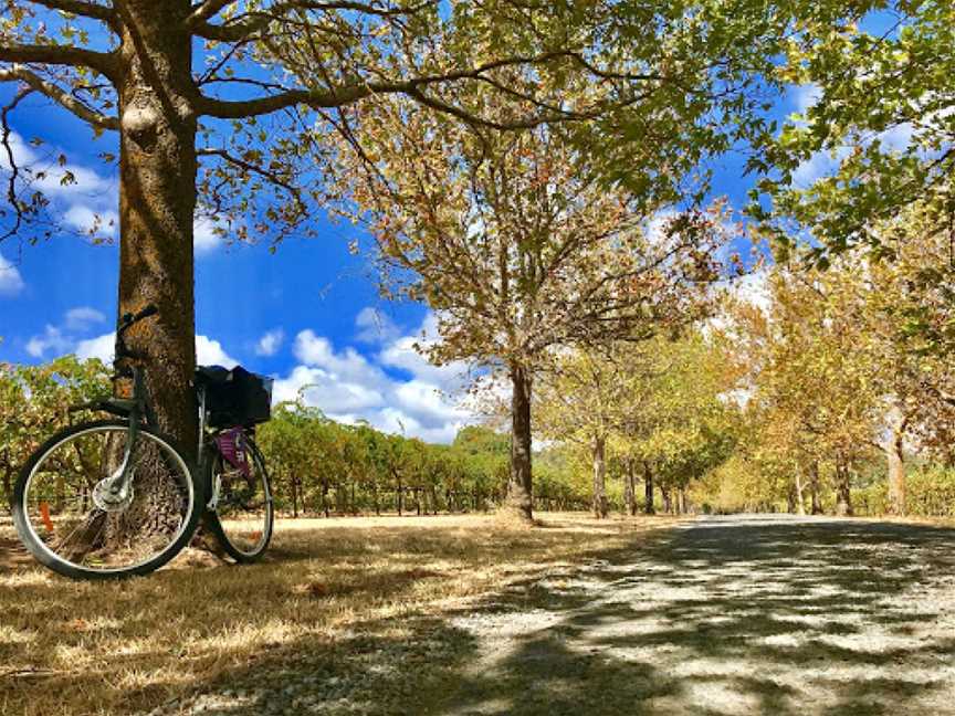 Grand Tour Cycle Route, Chiltern, VIC