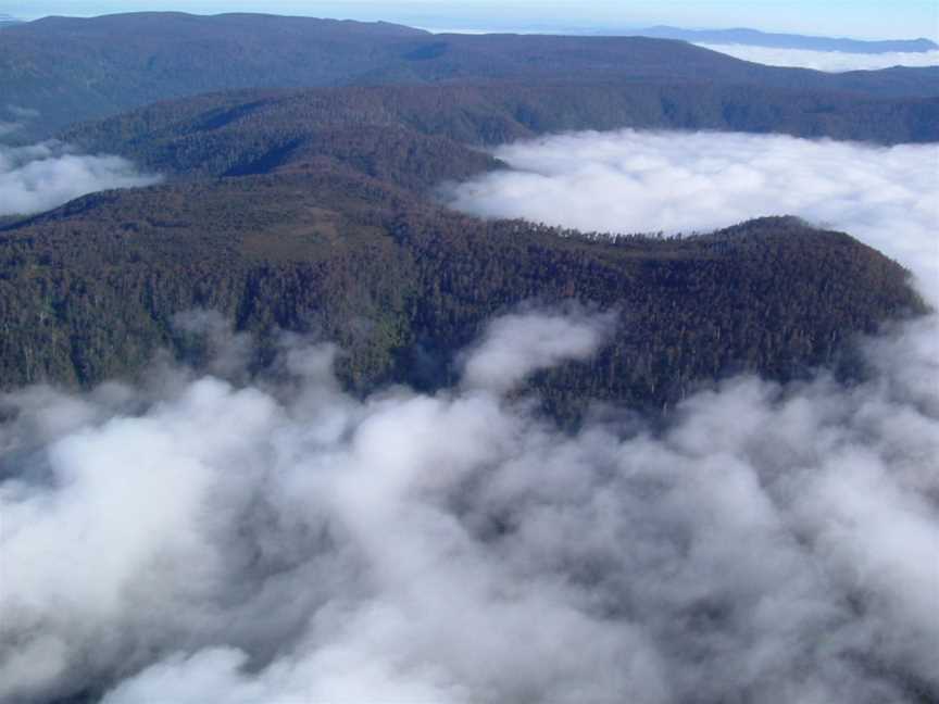Mount Misery Walk and Nature Reserve, Huonville, TAS