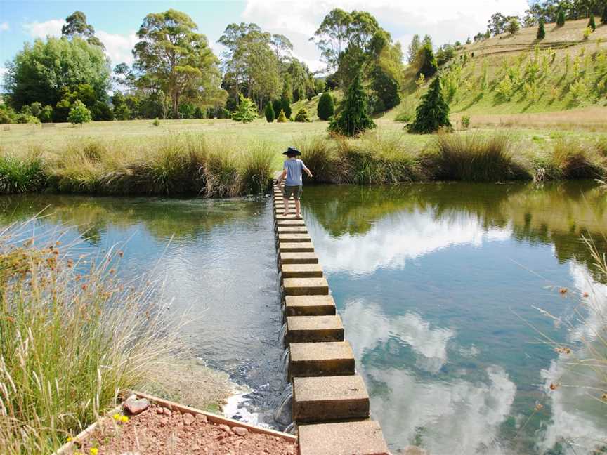 The Tasmanian Arboretum, Devonport, TAS