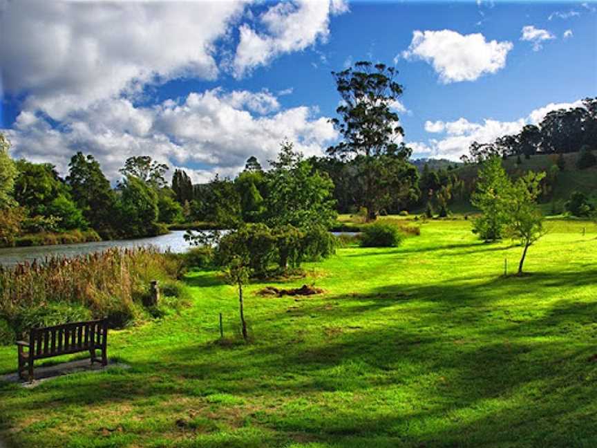 The Tasmanian Arboretum, Devonport, TAS