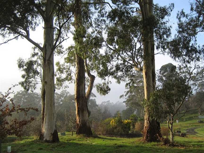 The Tasmanian Arboretum, Devonport, TAS