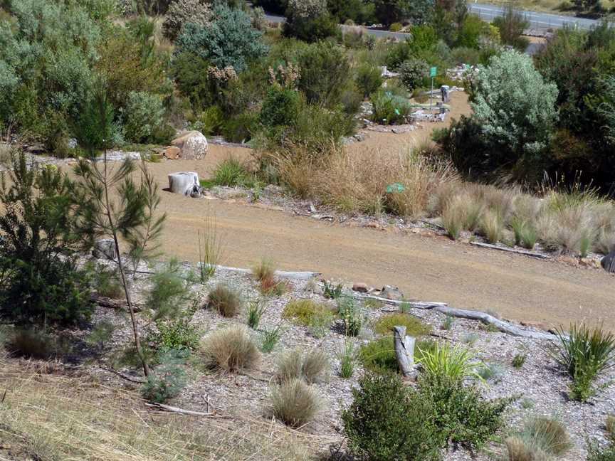 Tasmanian  Bushland Garden, Buckland, TAS