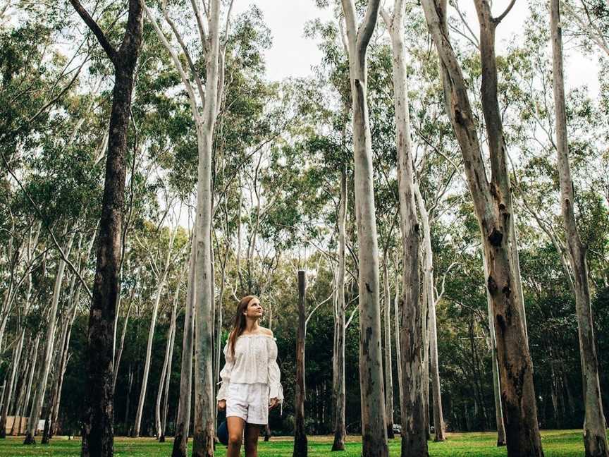 Tondoon Botanic Gardens, Gladstone, QLD