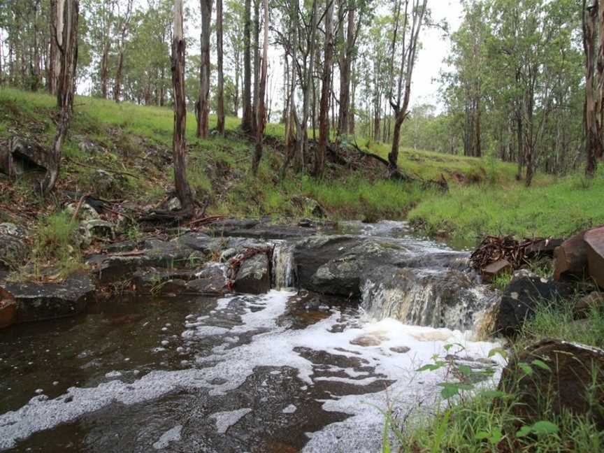 Dungog Common Recreation Reserve, Dungog, NSW